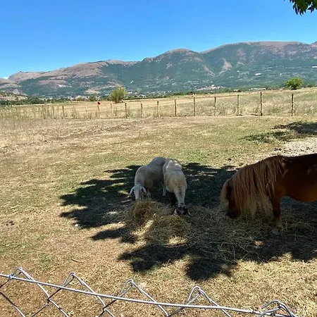 Farm stay Il Pozzo *